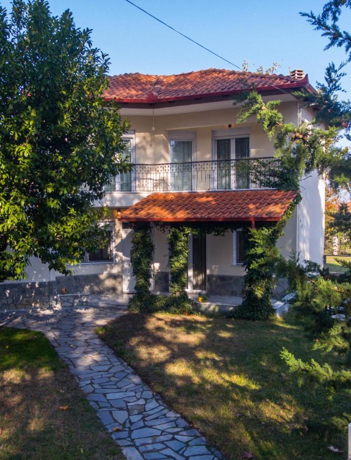 Woods Cottage Loutra Pozar Aridaia Megaplatanos Exterior photo